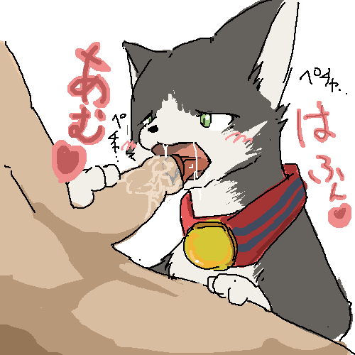 ambiguous_gender blush cat cum feline fellatio feral human japanese_text licking mammal marm oral oral_sex penis saliva sex text tongue