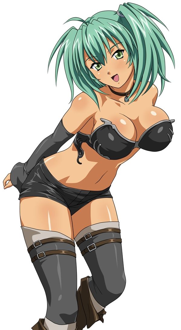 1girl breasts dark_skin green_eyes green_hair ikkitousen large_breasts long_hair looking_at_viewer official_art ryofu_housen smile solo standing twintails