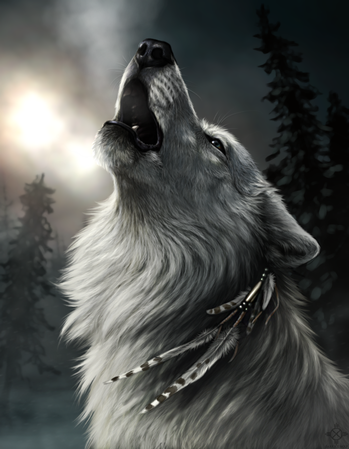 2014 arctic beads canine cold darkicewolf feathers forest fur howl ice male mammal morning snow tree white_fur winter wolf