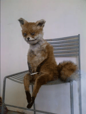 ambiguous_gender animated anthro canine chair cigarette fox fur lol_comments looking_at_viewer mammal nightmare_fuel oddly_cute orange_fur plushie real sitting smoke smoking solo stoned stoned_fox taxidermy twitching what_has_science_done where_is_your_god_now white_fur