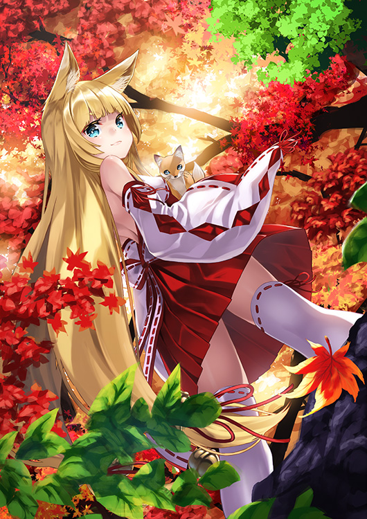 animal_ears autumn_leaves blonde_hair blue_eyes detached_sleeves forest fox fox_ears from_below japanese_clothes kyon_(fuuran) long_hair looking_at_viewer looking_back miko nature original ribbon-trimmed_legwear ribbon-trimmed_sleeves ribbon_trim solo thighhighs very_long_hair