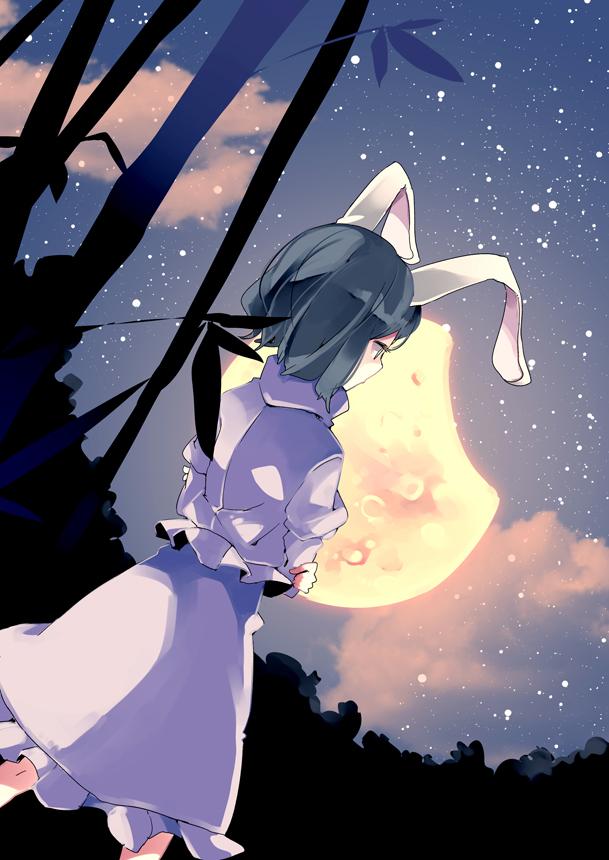 aioi_aoi animal_ears bamboo bamboo_forest black_hair bunny_ears bunny_tail cloud cloudy_sky crossed_arms forest frills from_behind gathers inaba_tewi leaf looking_away moon nature night night_sky plant red_eyes ribbon short_hair skirt skirt_set sky solo star_(sky) starry_sky tail touhou