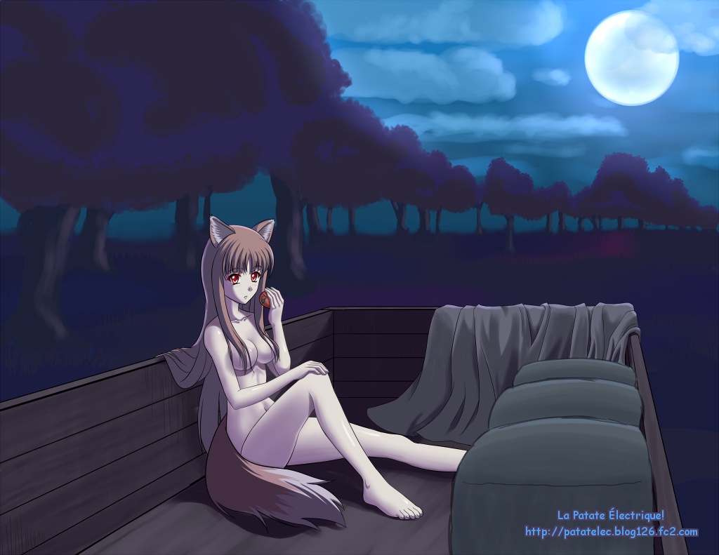animal_ears apple breasts brown_hair cart cloud convenient_leg food fruit full_moon hair_censor holo kami_mitsugu_(kamiken) long_hair moon navel night nude red_eyes sky solo spice_and_wolf tail tree very_long_hair watermark web_address wolf_ears wolf_tail