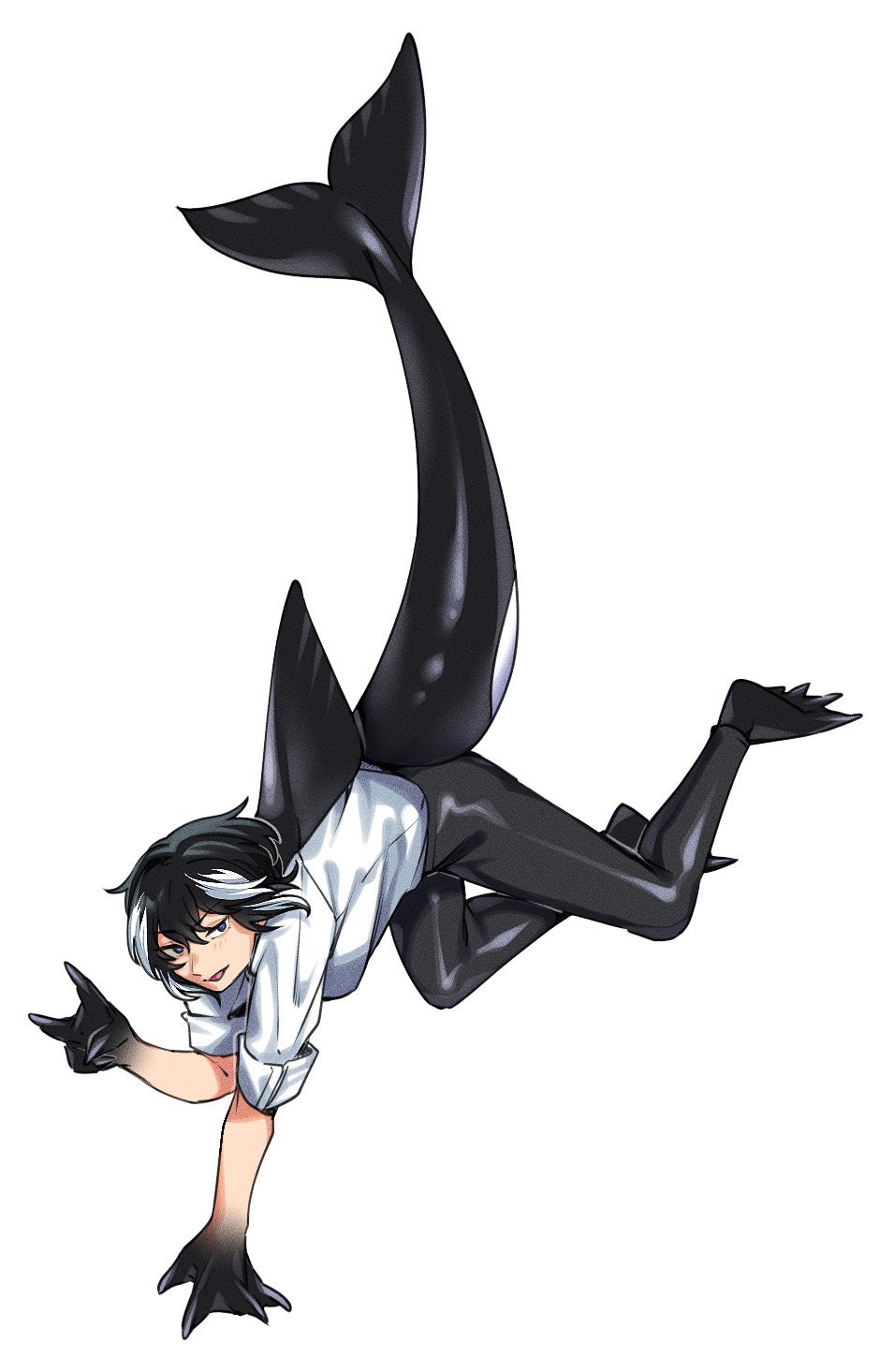 1girl animal_feet animal_hands black_hair black_leggings blue_eyes cetacean_tail dorsal_fin fins fish_tail full_body hand_up highres leggings looking_at_viewer monster_girl multicolored_hair open_mouth orca_girl original rramarukun shirt short_hair simple_background solo streaked_hair tail v webbed_feet webbed_hands white_background white_hair white_shirt