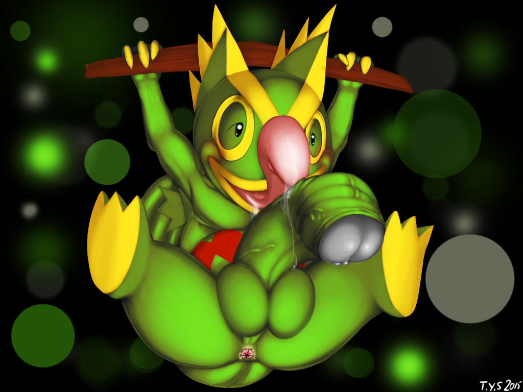 anus balls big_penis digital_media_(artwork) drooling erection humanoid_penis kecleon long_tongue male nintendo penis pokémon presenting presenting_penis saliva seyrmo solo tongue tongue_out vein veiny_penis video_games