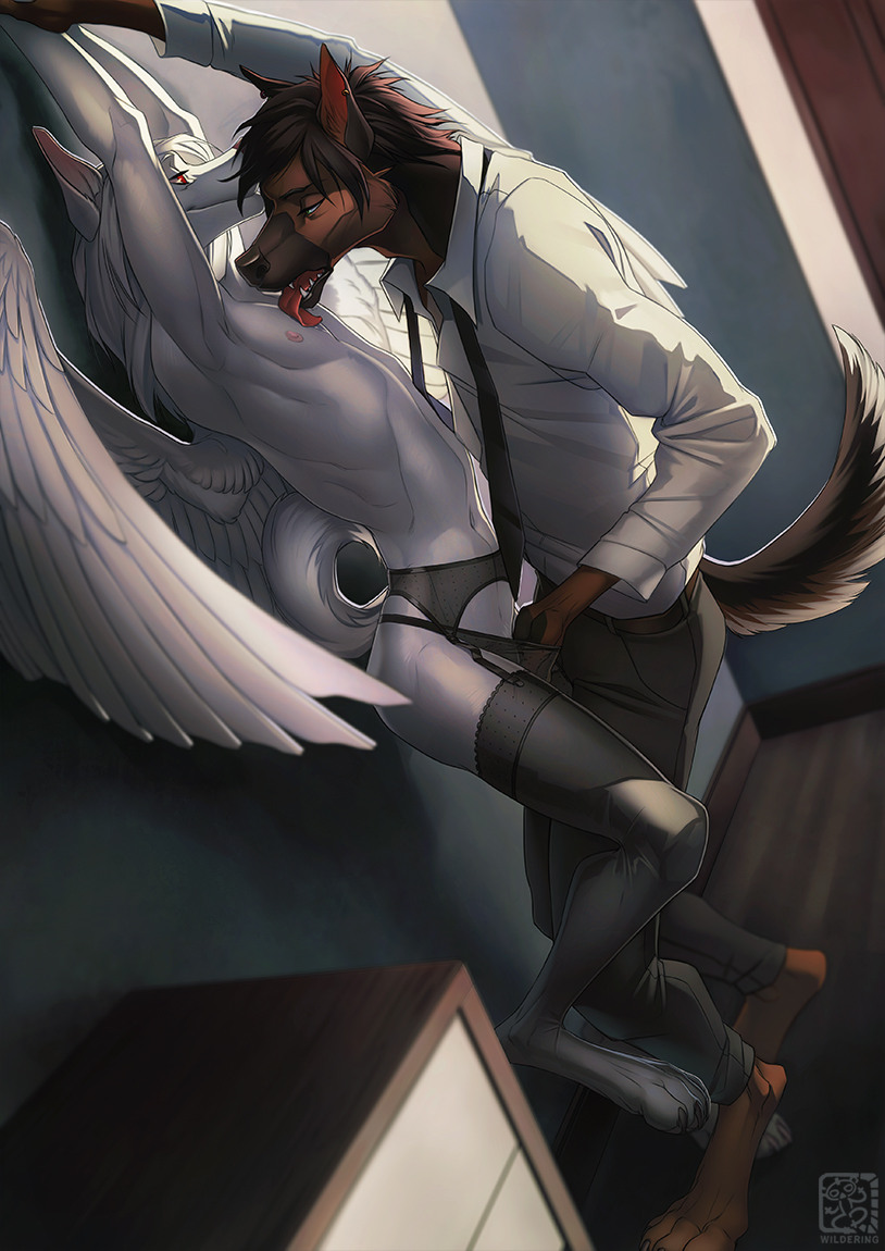 afevis angel canine clothed clothing dog duo gay german_shepherd hair hand_holding jackal legwear licking lingerie male mammal necktie nipples open_mouth panties pent-up tongue tongue_out underwear wildering wings zasha