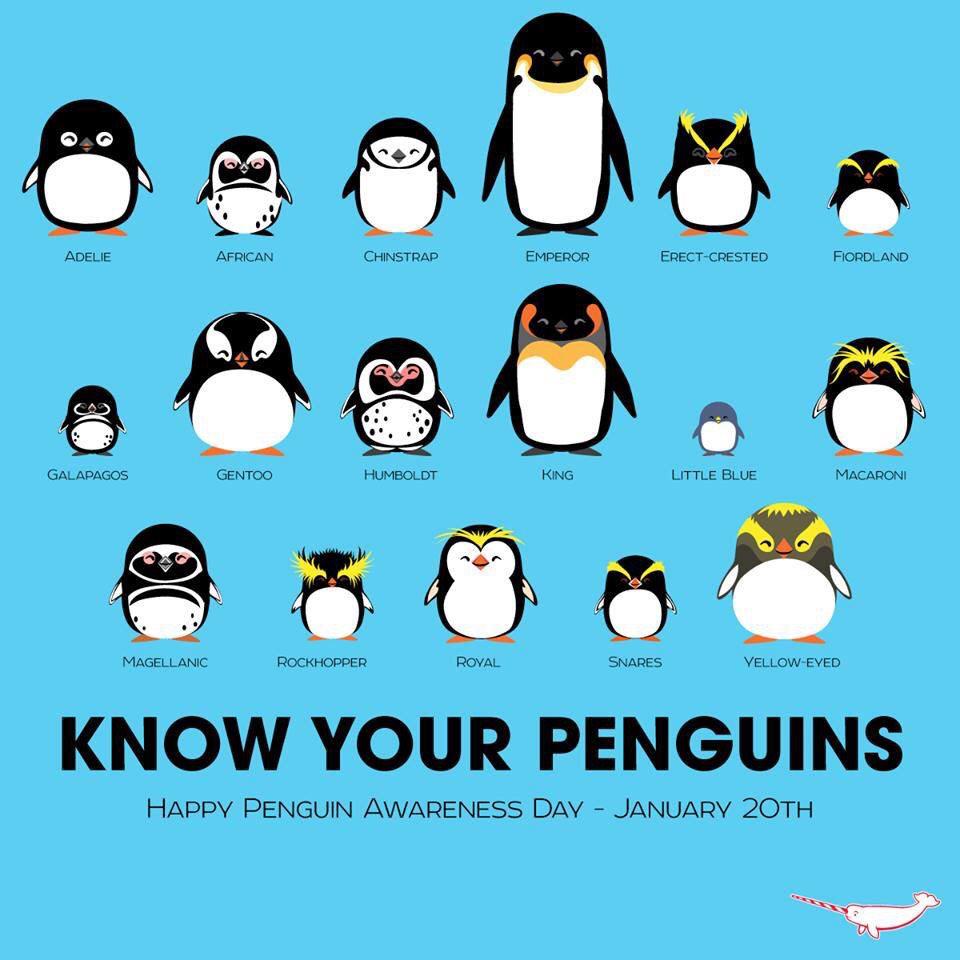 ambiguous_gender avian bird blue_background cetacean cute english_text eyes_closed mammal marine narwhal penguin penguin_awareness_day plain_background tagging_guidelines_illustrated text