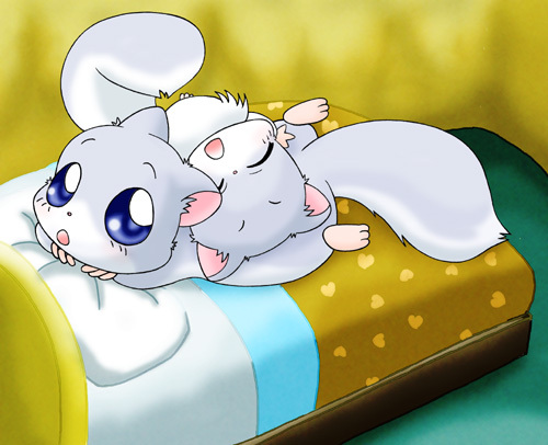 2008 bed blanket blue_eyes blue_fur brothers cute eyes_closed flying_squirrel fur happy_happy_clover hickory hirari japanese looking_at_viewer male mammal pixiv rodent sayuri_tatsuyama sibling squirrel twins white_fur くりどら