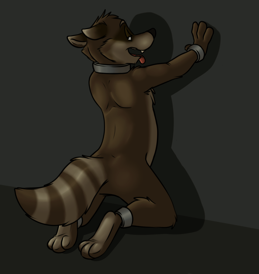 anthro bound cuffs looking_back male mammal paws raccoon rotten_robbie shackles solo tongue tongue_out