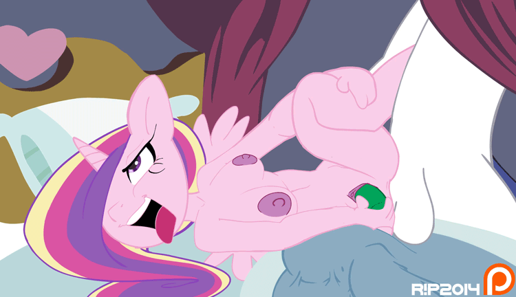 2014 anal anal_penetration animated anthro anthrofied balls bed breasts dildo double_penetration duo equine female fetlocks friendship_is_magic hair hair_over_eyes horn horse humanoid_penis inside legwear long_hair male mammal multicolored_hair my_little_pony nude penetration penis pink_body pony princess_cadance_(mlp) purple_eyes pussy r!p sex sex_toy shining_armor_(mlp) spread_legs spreading straight tail_grab thigh_highs toying_self unicorn vaginal vaginal_penetration white_body