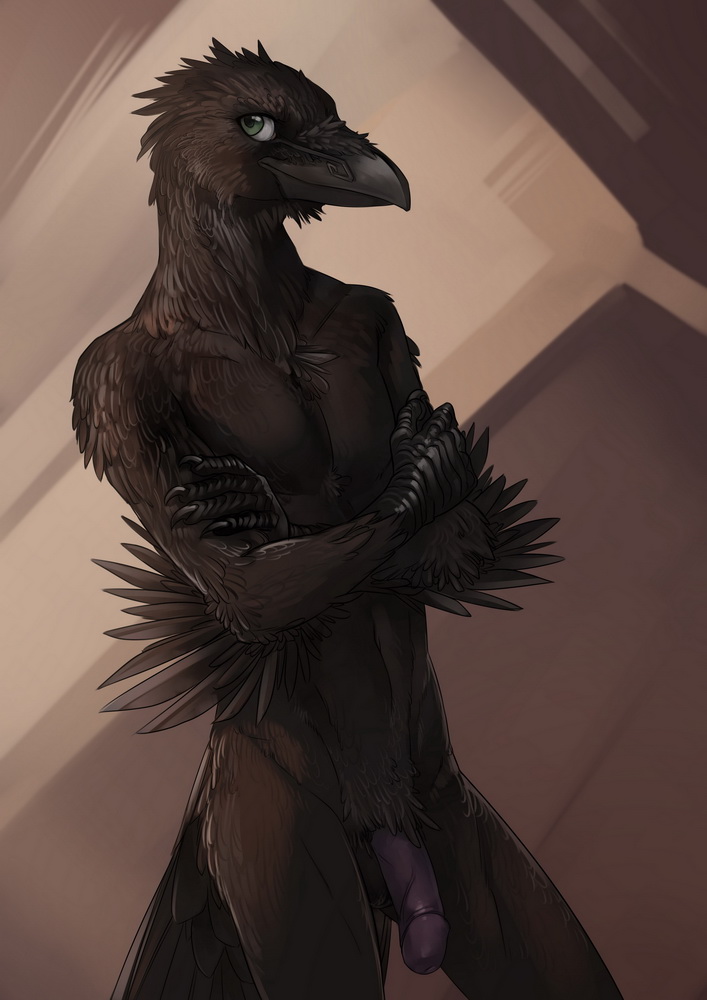 2014 acroth anthro avian balls beak bird black_feathers crow feathers flaccid green_eyes looking_at_viewer male nude orphen-sirius penis solo