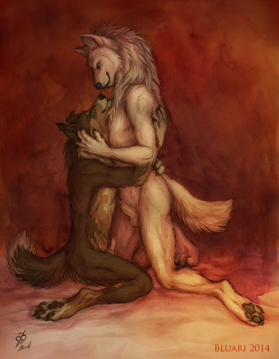 australian_shepherd bluari canine couple cuddling dog duo eye_contact gay hug love male mammal nude sheath white_wolf