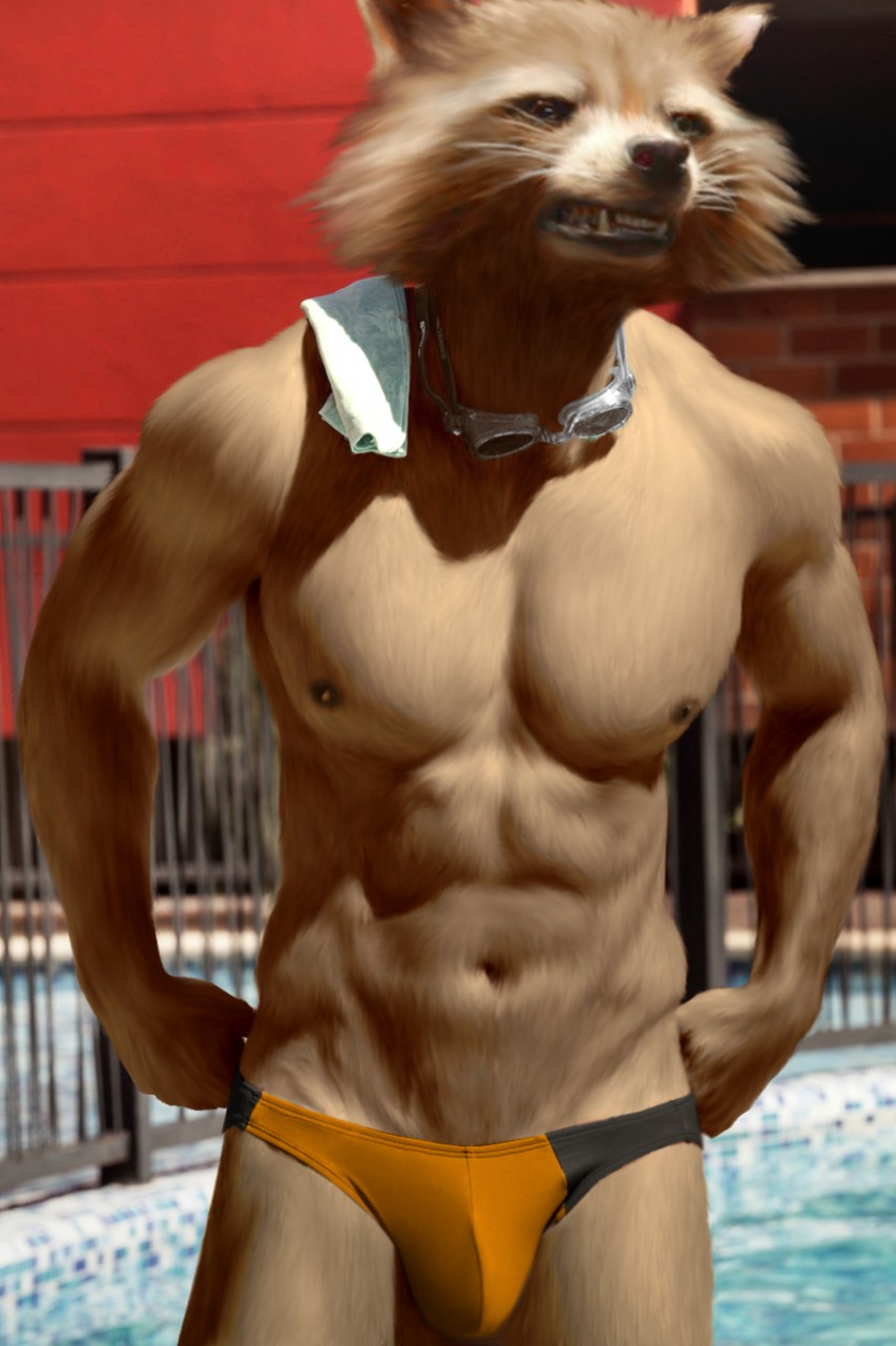abs anthro anthrofied bulge clothed clothing edit eyewear goggles guardians_of_the_galaxy half-dressed male mammal muscles oystercatcher7 pecs photo_manipulation photomorph raccoon rocket_raccoon solo speedo swimming_pool swimsuit toned topless towel