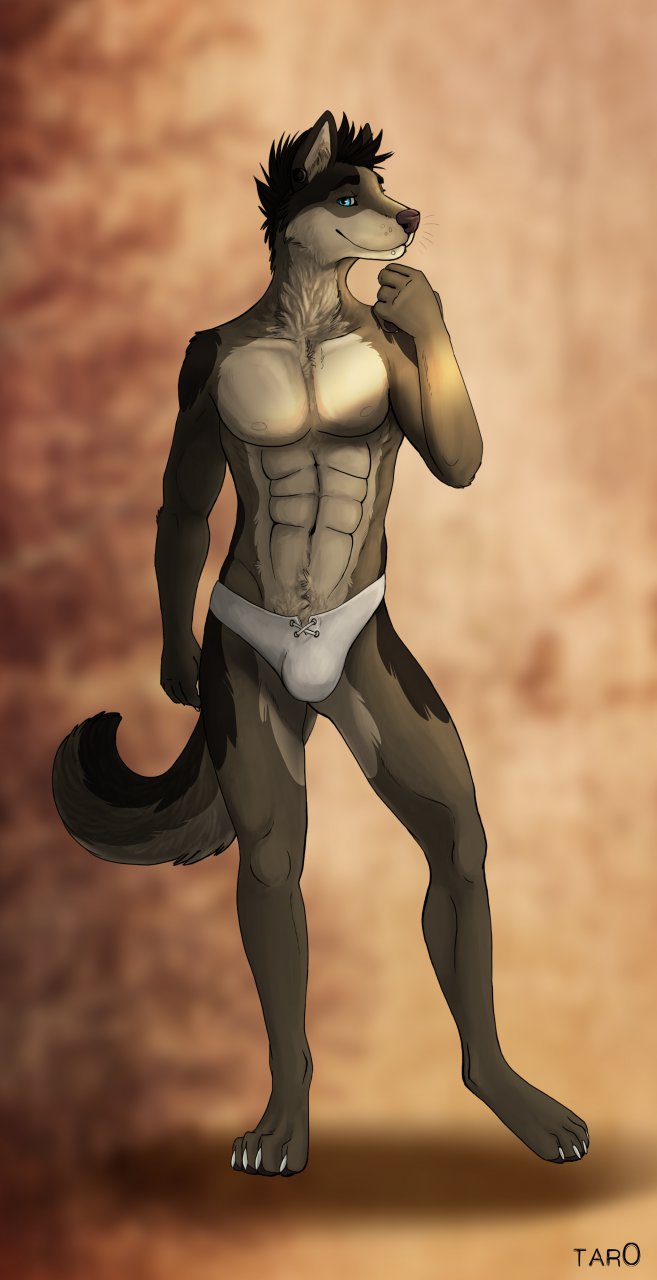 2014 abs anthro blue_eyes brown_fur bulge canine claws clothed clothing colored dog ear_piercing front fur hair half-dressed looking_at_viewer male mammal muscles nipples pecs piercing pose pubes shaded sketch solo standing tar0 toe_claws topless underwear