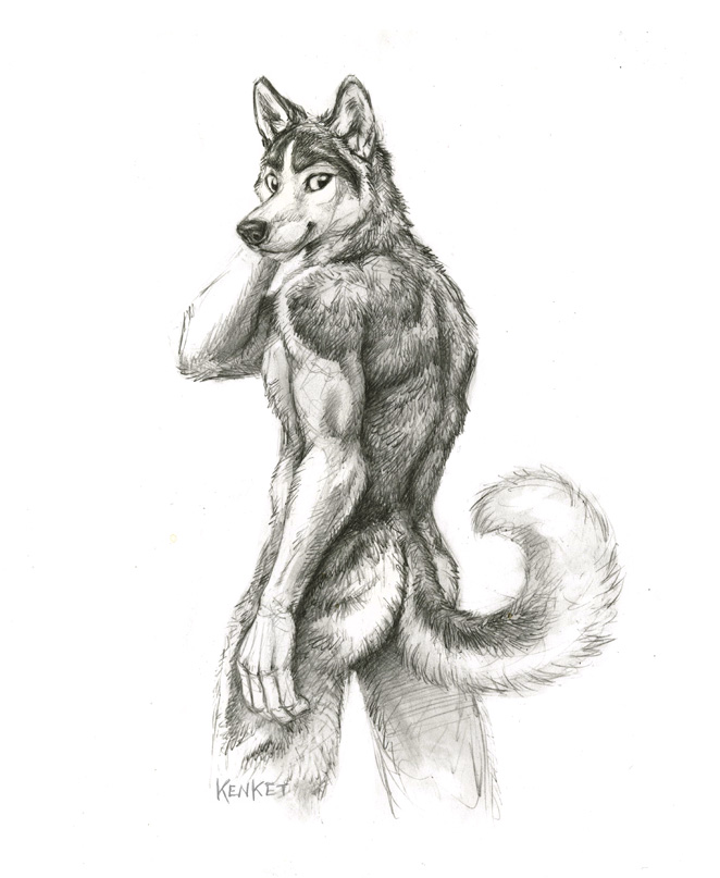 2015 anthro black_eyes black_fur butt canine curled_tail dog fur husky kenket looking_at_viewer looking_back male mammal monochrome nude plain_background sketch smile solo white_background white_fur