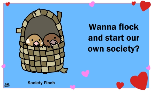 &lt;3 ambiguous_gender animated avian bird birdcheese black_eyes english_text holidays humor pun text valentine's_day