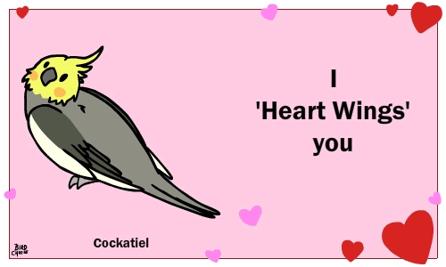 animated avian bird birdcheese black_eyes cockatiel cute english_text holidays humor pun solo text valentine's_day