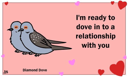&lt;3 ambiguous_gender animated avian bird birdcheese black_eyes dove english_text holidays humor pun text valentine's_day