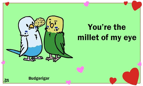 &lt;3 animated avian bird birdcheese black_eyes cute duo holidays humor pun valentine's_day