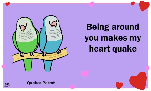 &lt;3 animated avian bird birdcheese black_eyes blush cute duo english_text eyes_closed holidays parrot text valentine's_day