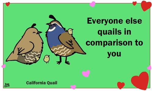 &lt;3 ambiguous_gender animated avian bird birdcheese black_eyes english_text holidays humor pun quail text valentine's_day