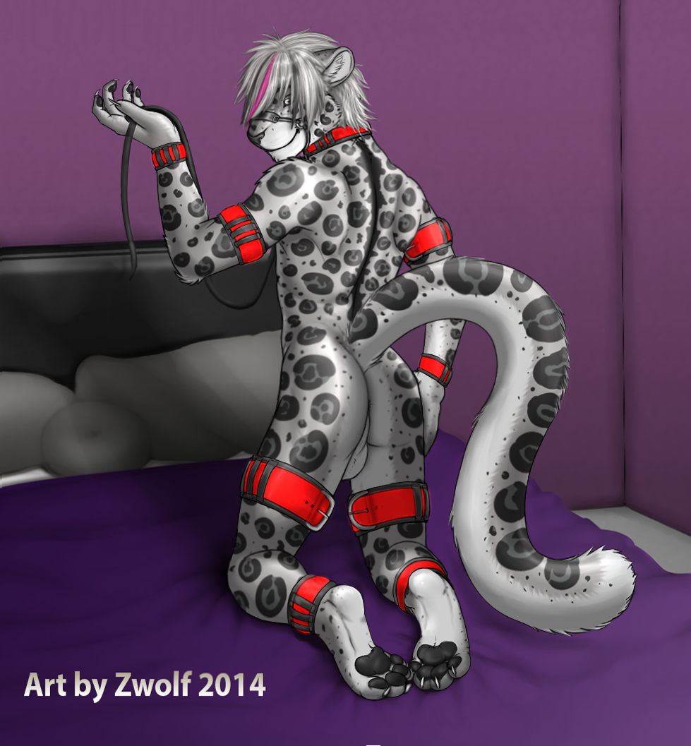 2014 anthro back balls bed butt claws collar feline izamal leopard looking_at_viewer male mammal paws pose presenting solo spots zwolf