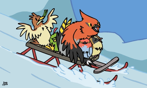 ambiguous_gender animated avian bird birdcheese black_eyes cute eyes_closed farfetch'd fletchling grumpy happy mountain natu nintendo open_mouth pidgey pok&eacute;mon scared sled snow talonflame video_games