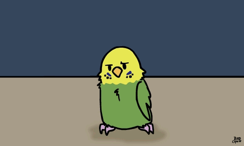 ambiguous_gender animated avian bird birdcheese black_eyes blue_feathers cute eyes_closed feral green_feathers happy hug parakeet sad white_feathers yellow_feathers