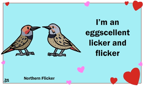 &lt;3 ambiguous_gender animated avian bird birdcheese black_eyes cute duo english_text holidays humor pun text tongue tongue_out valentine's_day
