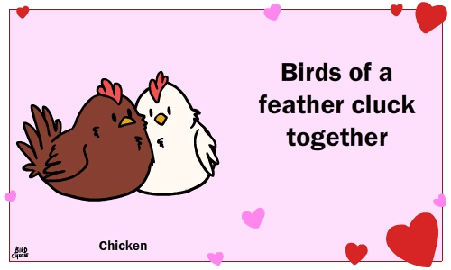 &lt;3 ambiguous_gender animated avian bird birdcheese black_eyes brown_feathers chicken cute duo eyes_closed holidays valentine's_day white_feathers