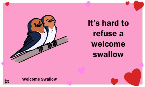 ambiguous_gender animated avian bird birdcheese black_eyes cute duo english_text eyes_closed holidays humor joke pun swallow_(bird) text valentine's_day