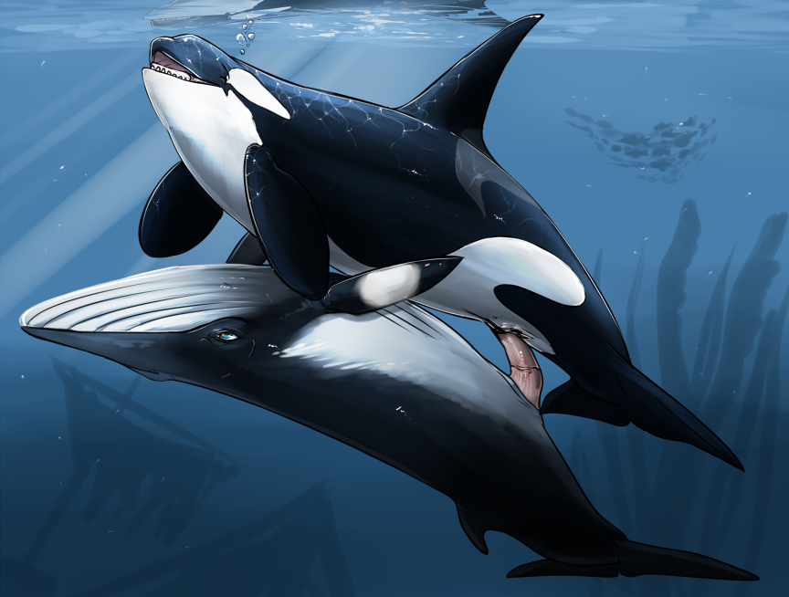 blue_eyes bubble cetacean convicted-clown eyes_closed female feral feral_on_feral fish interspecies male male/female mammal marine open_mouth orca penetration penis pussy tapering_penis underwater vaginal vaginal_penetration water whale