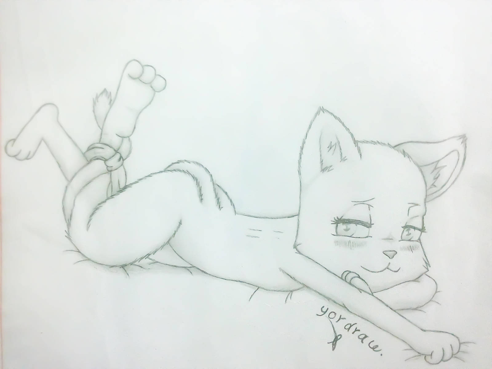 blush butt cat charle exceed fairy_tail feline female long_tail mammal ribbons seductive sketch solo yordraw