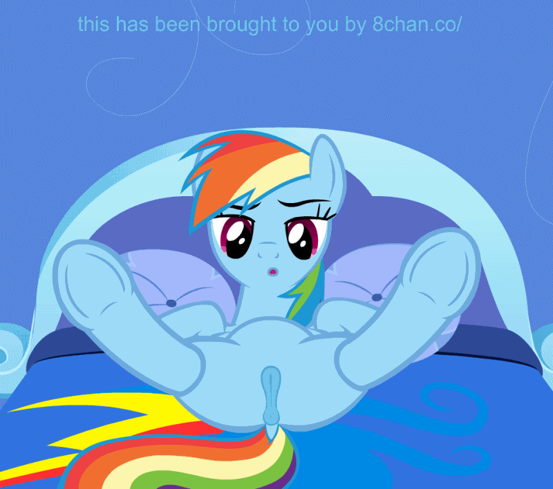 age3rcm animated bed clitoris equine female feral friendship_is_magic hooves horse mammal masturbation my_little_pony pegasus pony pussy rainbow_dash_(mlp) solo wings
