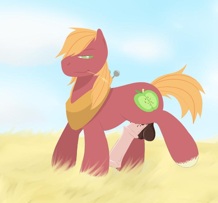 animal_genitalia balls big_macintosh_(mlp) cutie_mark earth_pony equine feral friendship_is_magic fur grass hair horse horsecock male mammal my_little_pony penis pony solo thatdoodlingpony