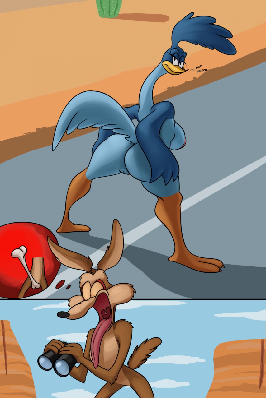 anthro avian beak big_breasts bird breasts butt canine coyote crossgender duo feathers female looking_back looney_tunes male mammal nipples open_mouth presenting presenting_hindquarters pussy roadrunner roadrunner_(looney_tunes) thingshappen tongue tongue_out voyeur warner_brothers wile_e._coyote