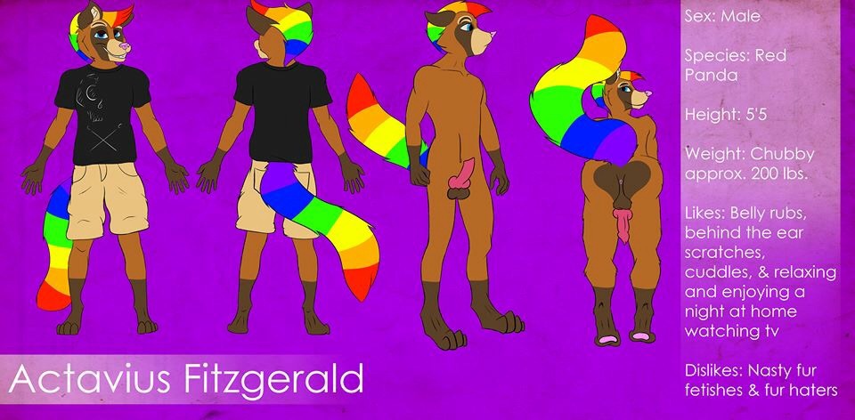 animal_genitalia bent_over blue_eyes butt_heart clothing digitgrade_legs hair knot looking_back male mammal model_sheet multicolored_hair nude pawpads paws penis pose rainbow rainbow_hair red_panda smile solo