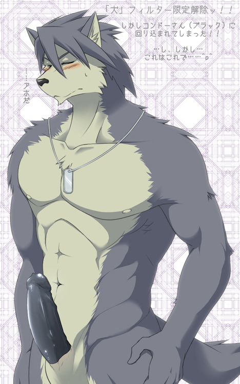 abs anthro blush broad canine dog dog_tags edit erection eyes_closed fur grey_fur grey_hair hair humanoid_penis husky ig invalid_color invalid_tag japanese_text kouya_aotsuki male mammal muscles nipples nude pecs penis shoulders solo text toned uncensored