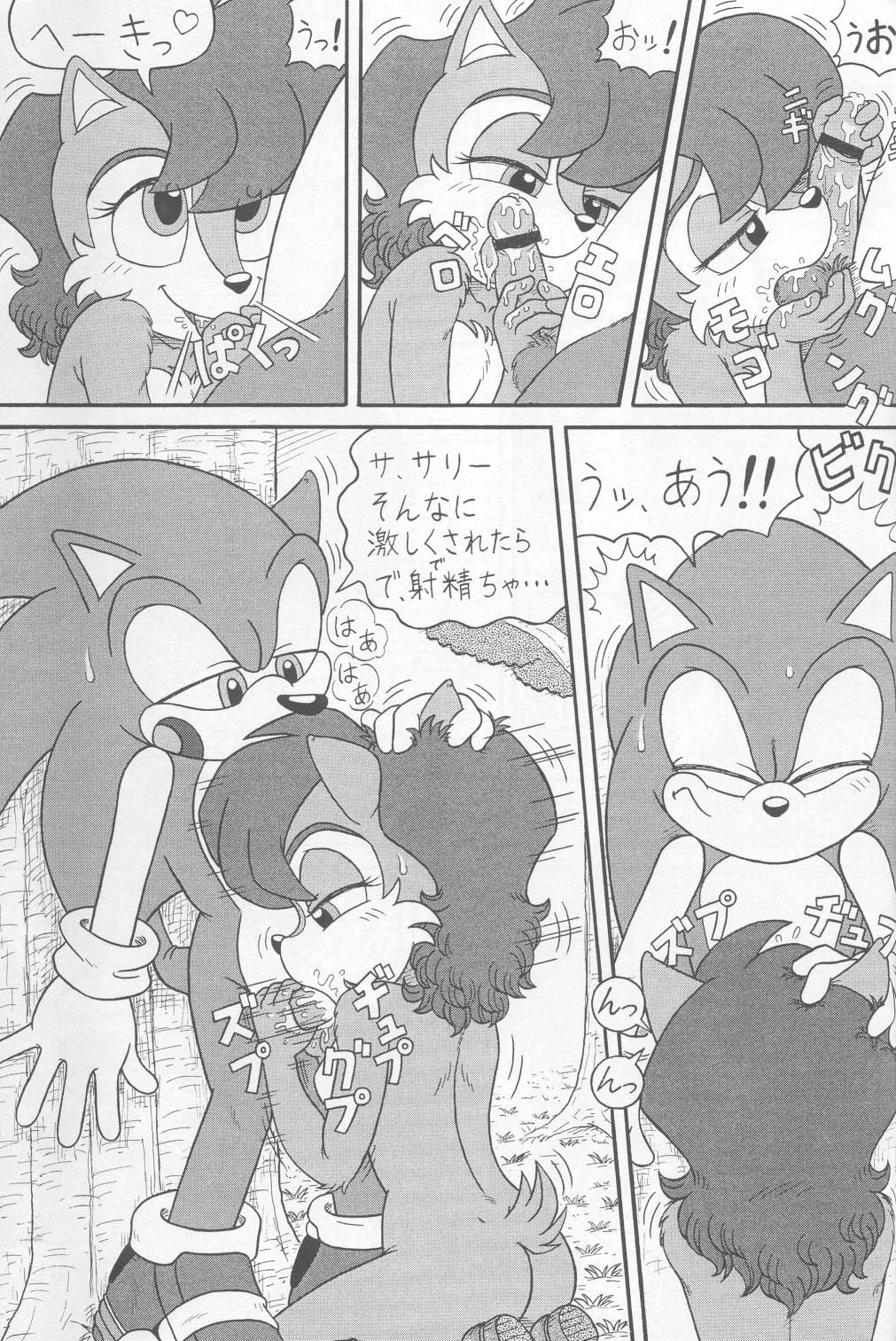 balls female hedgehog karate_akabon licking male mammal oral penis rodent sally_acorn sonic_(series) sonic_the_hedgehog squirrel tongue tongue_out