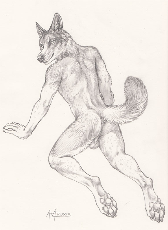 2015 all_fours anthro anus backsack balls canine claws dog fur looking_back luther male mammal nude pawpads paws raised_tail rukis simple_background solo suggestive white_background