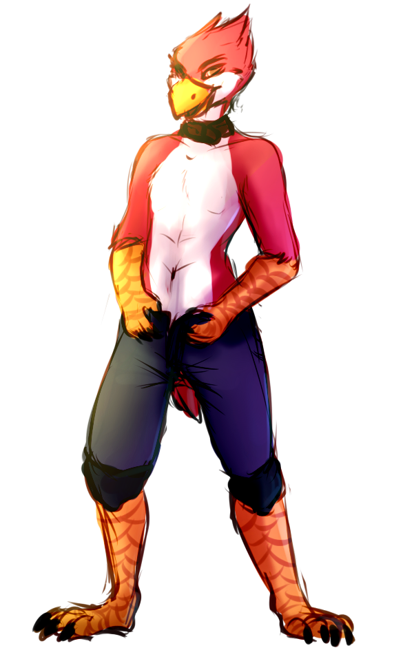 2015 anthro avian avian_(starbound) beak bird claws clothed clothing collar eyes_closed feathers fur going_commando half-dressed legwear maladash mirtilo open_mouth pants red_feathers shorts smile solo starbound talons toe_claws undressing video_games