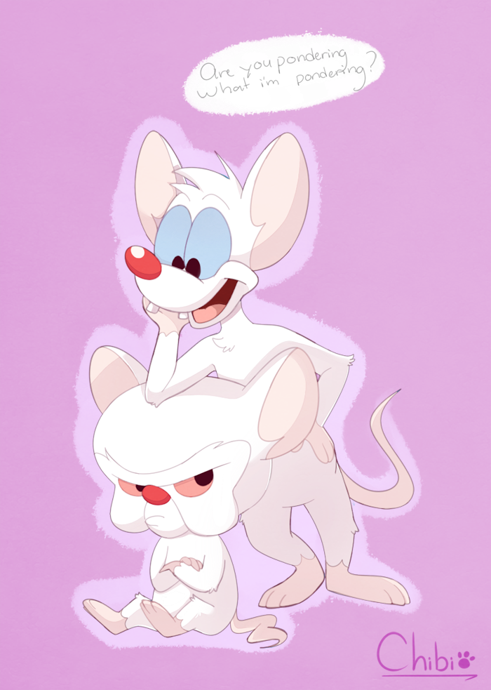 animaniacs chibitracy english_text male mammal mouse nude pinky pinky_and_the_brain rodent simple_background text the_brain