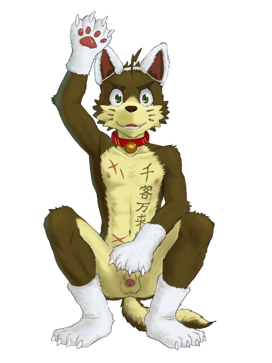 anthro balls bell brown_fur canine clothed clothing collar cosplay dog erection funfate fur gloves green_eyes half-dressed looking_at_viewer male mammal penis scar sitting solo uncut young