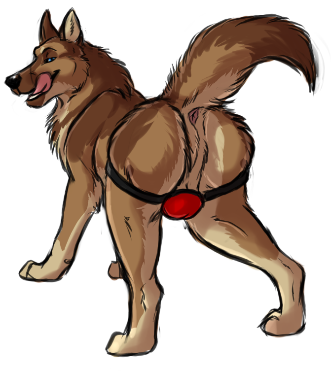 2015 anus canine clothing dog feral fur german_shepherd jockstrap male mammal marjani nude open_mouth smile solo tongue tongue_out underwear