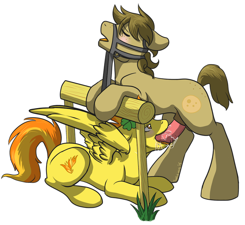 animal_anatomy blush chocolate_chips equine fan_character fellatio female feral friendship_is_magic horse male male/female mammal my_little_pony open_mouth oral pegasus penis pony reign saliva sex spitfire_(mlp) twilicious wings wonderbolts_(mlp)