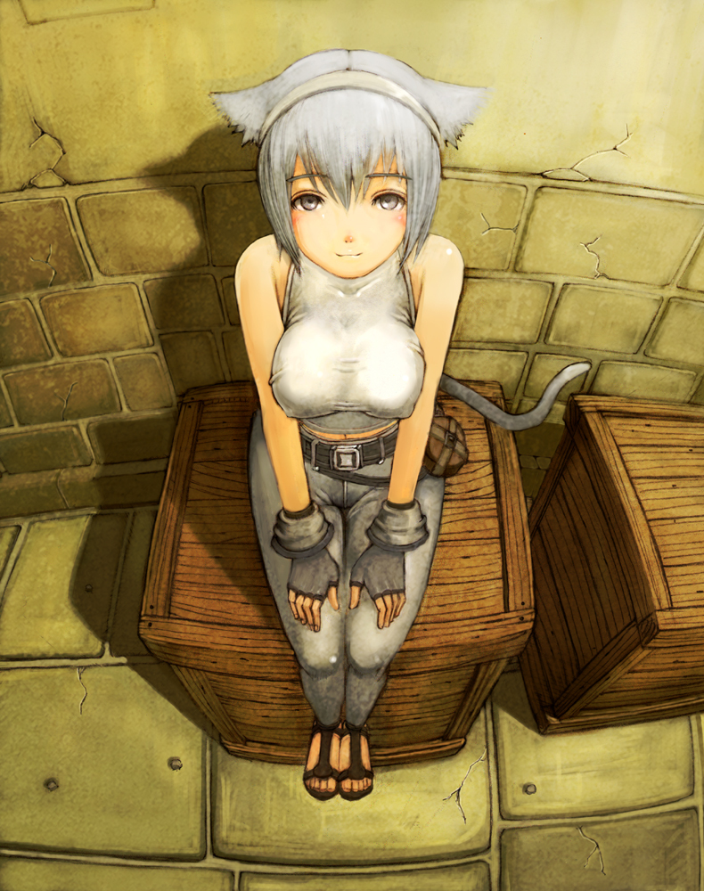 animal_ears cat_ears cat_tail final_fantasy final_fantasy_xiv gloves headband lionel_nakamura looking_up miqo'te sandals short_hair silver_eyes sitting smile solo tail white_hair