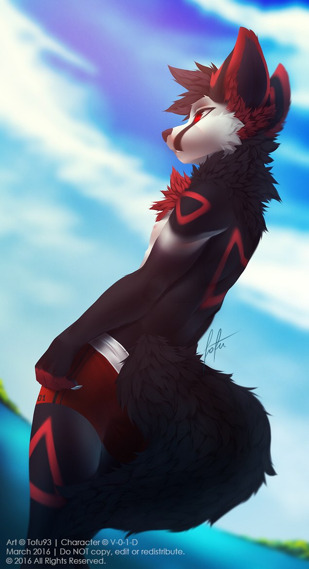 anthro black_fur black_hair canine clothed clothing fennec fox fur hair male mammal red_eyes red_fur shorts solo standing tofu93 topless v-0-1-d water white_fur