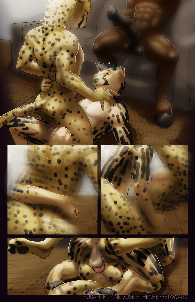 brothers cheetah comic equine erection feline hi_res horse incest king_cheetah male mammal nude panels penetration penis pussy sex sibling the_cherret_awaits