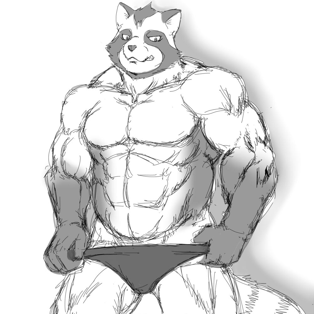 abs akuann anthro clothing looking_at_viewer male mammal monochrome muscular pants_pull pecs red_panda simple_background solo teasing underwear underwear_down undressing white_background