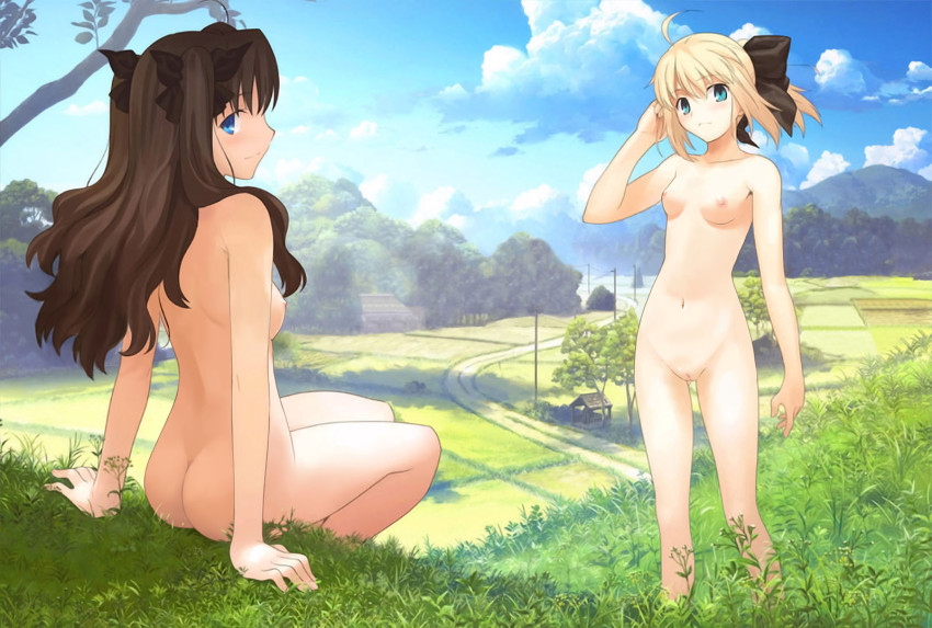 ahoge aqua_eyes artistic_nudity ass back bare_legs bare_shoulders blonde_hair blue_eyes blue_sky bow breasts brown_hair butt_crack camisole capcom cloud fate/stay_night fate/unlimited_codes fate_(series) female field grass hair_bow hair_ribbon hand_in_hair hill house long_hair long_legs looking_at_viewer looking_back multiple_girls nipples nude outdoors ponytail power_lines profile pussy ribbon saber saber_lily scenery shadow sideways_mouth sitting sky standing takeuchi_takashi telephone_pole tohsaka_rin tree twintails two_side_up well zenra
